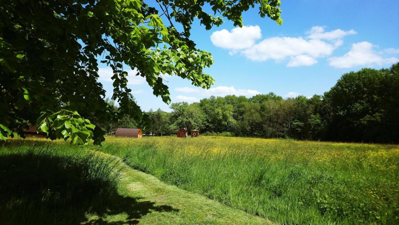 Domaine De La Grangee Villa La Chapelle-Blanche-Saint-Martin Екстериор снимка