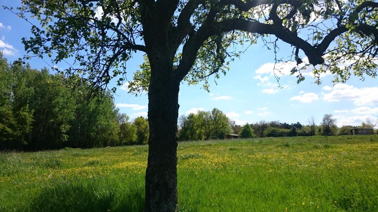 Domaine De La Grangee Villa La Chapelle-Blanche-Saint-Martin Екстериор снимка