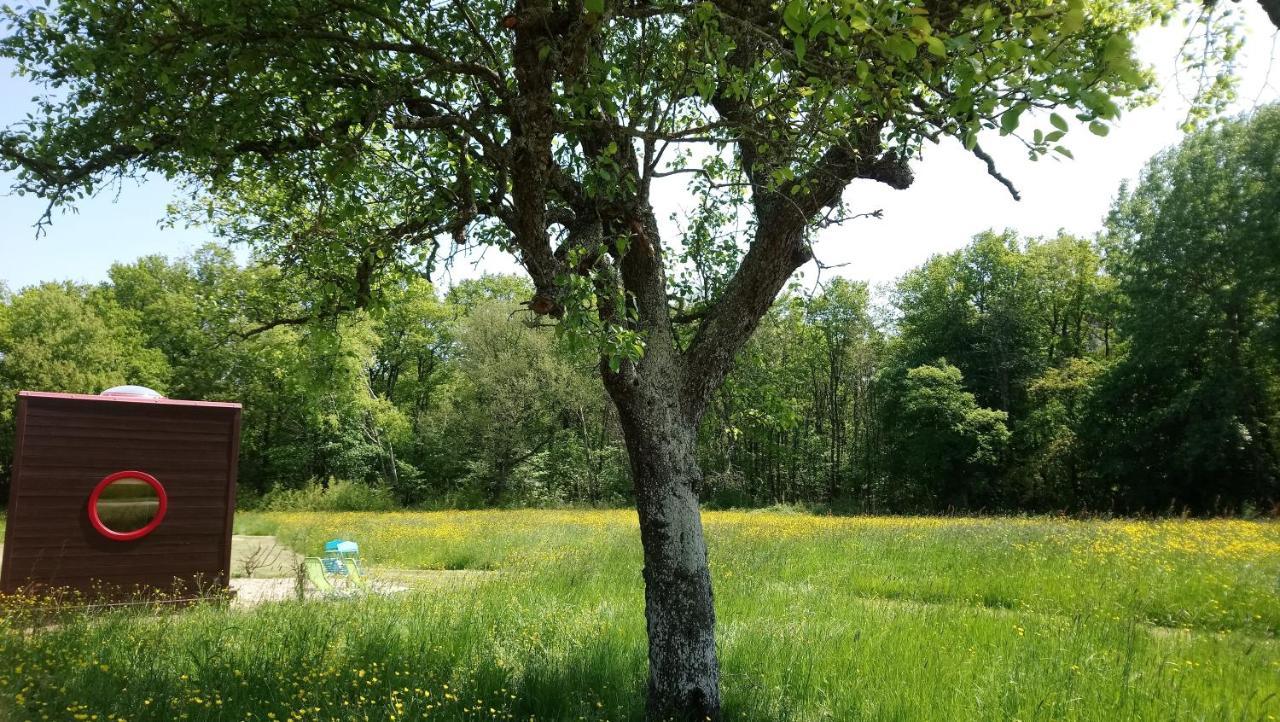 Domaine De La Grangee Villa La Chapelle-Blanche-Saint-Martin Екстериор снимка